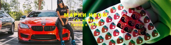 ешки Корсаков