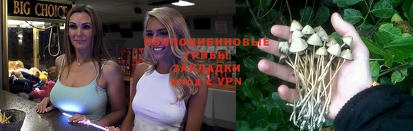 ешки Корсаков