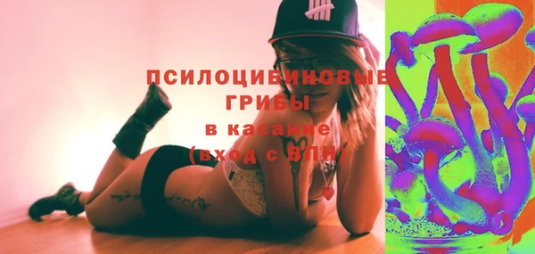 ешки Корсаков