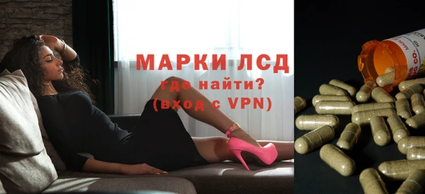 ешки Корсаков
