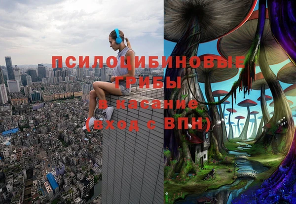 стафф Козловка