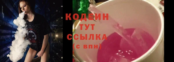 ешки Корсаков