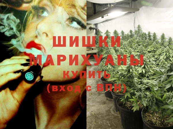 ешки Корсаков