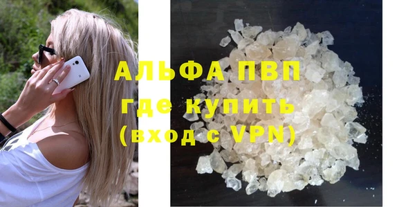 спайс Аша